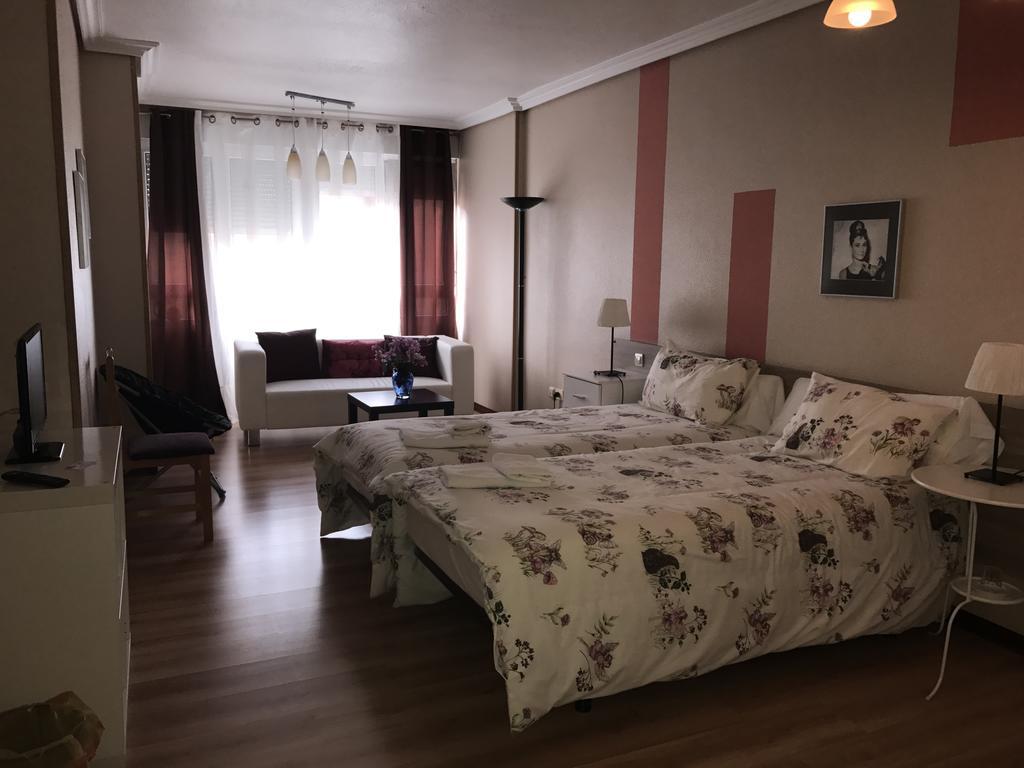 Alojamientos Olga Pamplona Exterior photo A typical studio apartment